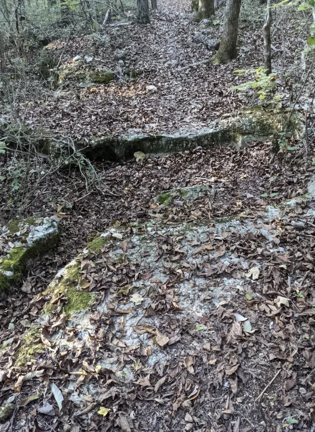 Photo from blog post 178