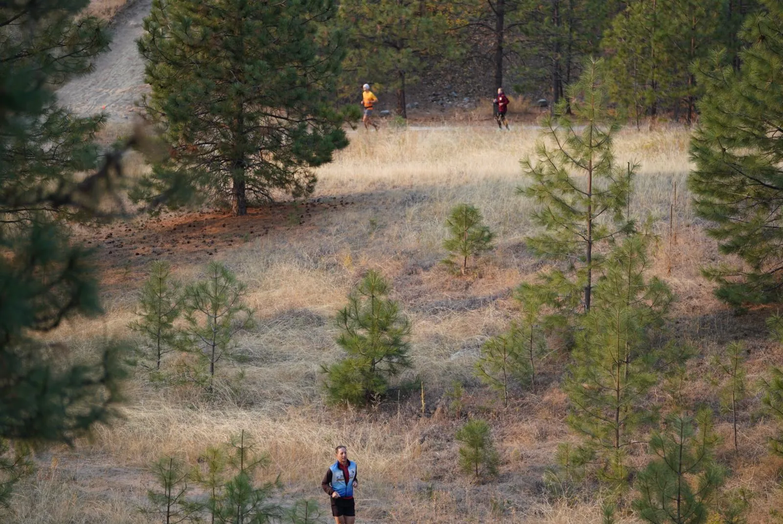 Running photo from blog post 181