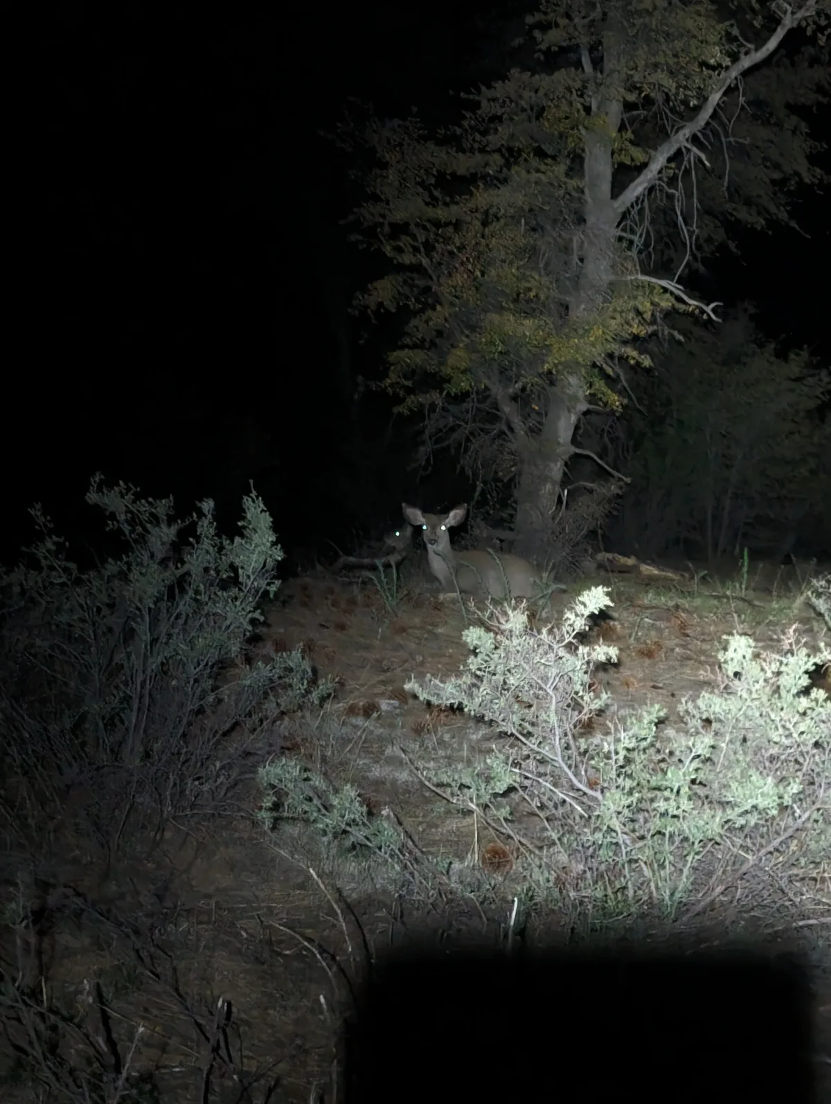 Photo from blog post 187
