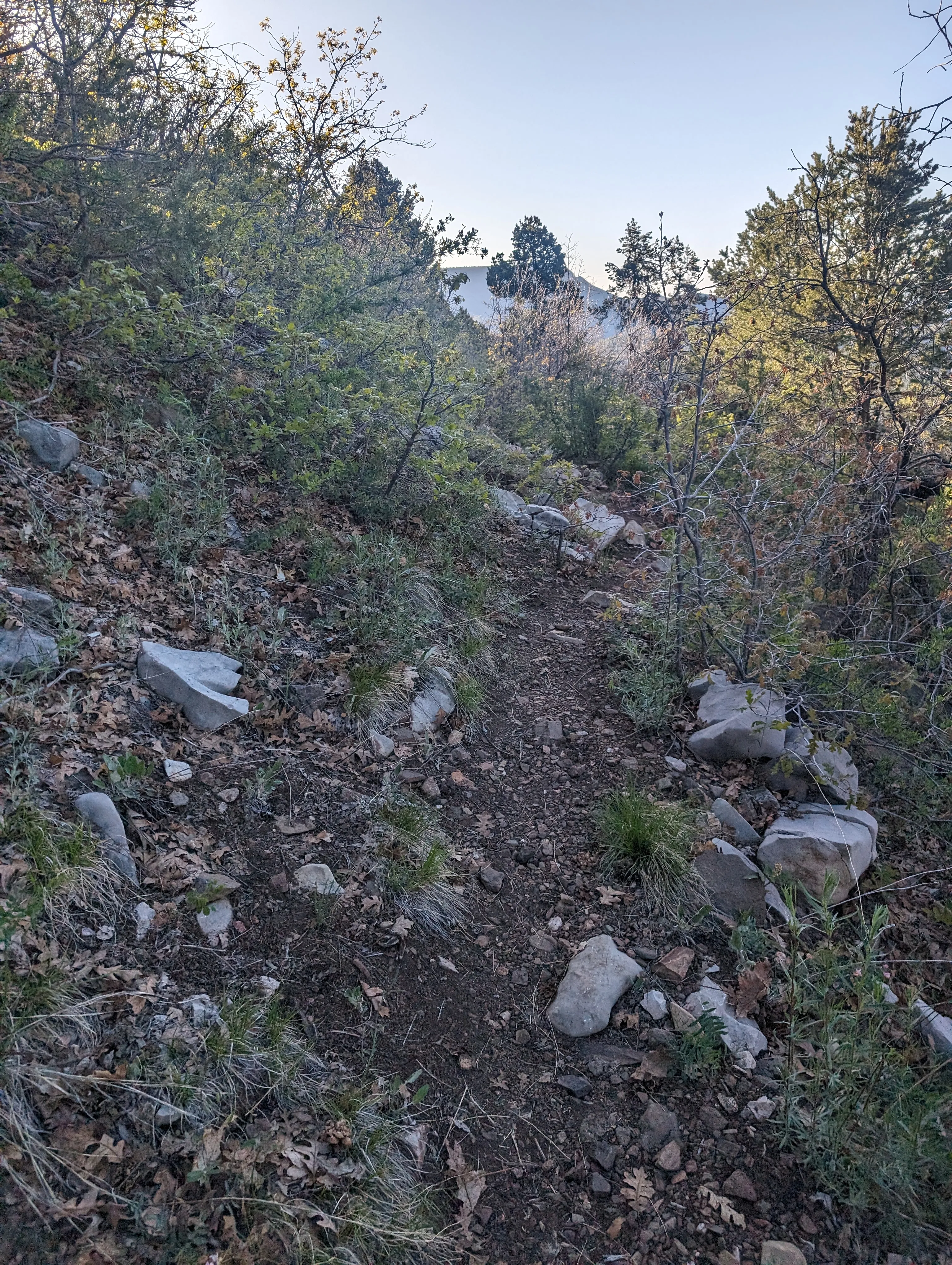 Running photo from blog post 187